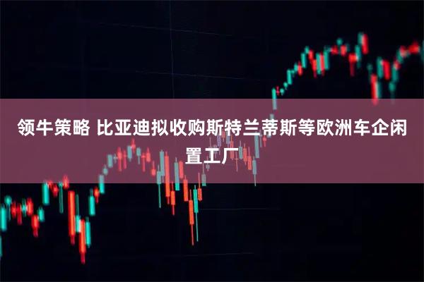 领牛策略 比亚迪拟收购斯特兰蒂斯等欧洲车企闲置工厂